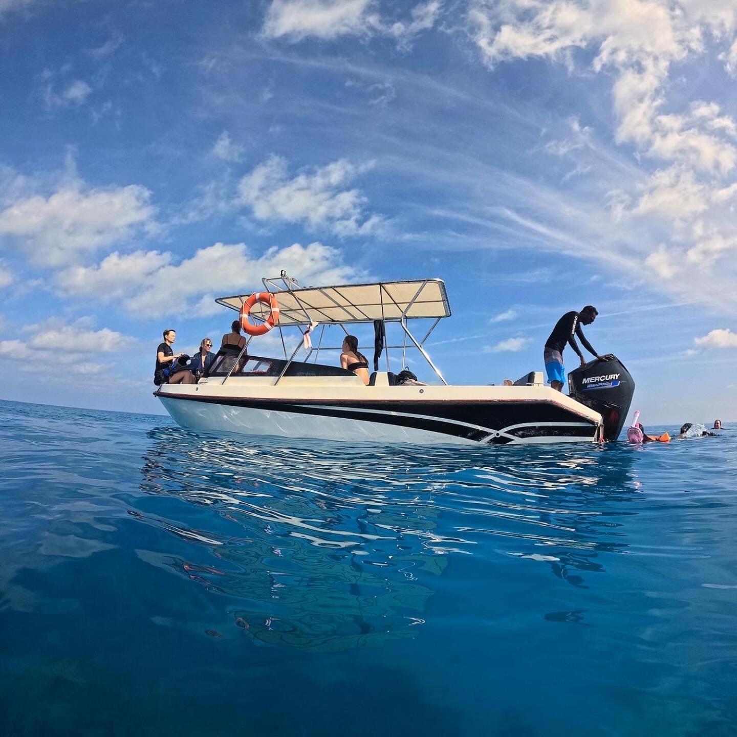 Blue Water Thoddoo Inn 외부 사진